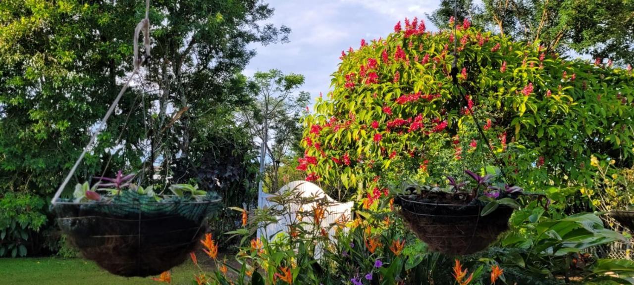 Hospedaje Finca Agroturistica Dona Rufa Rio Sereno Dış mekan fotoğraf