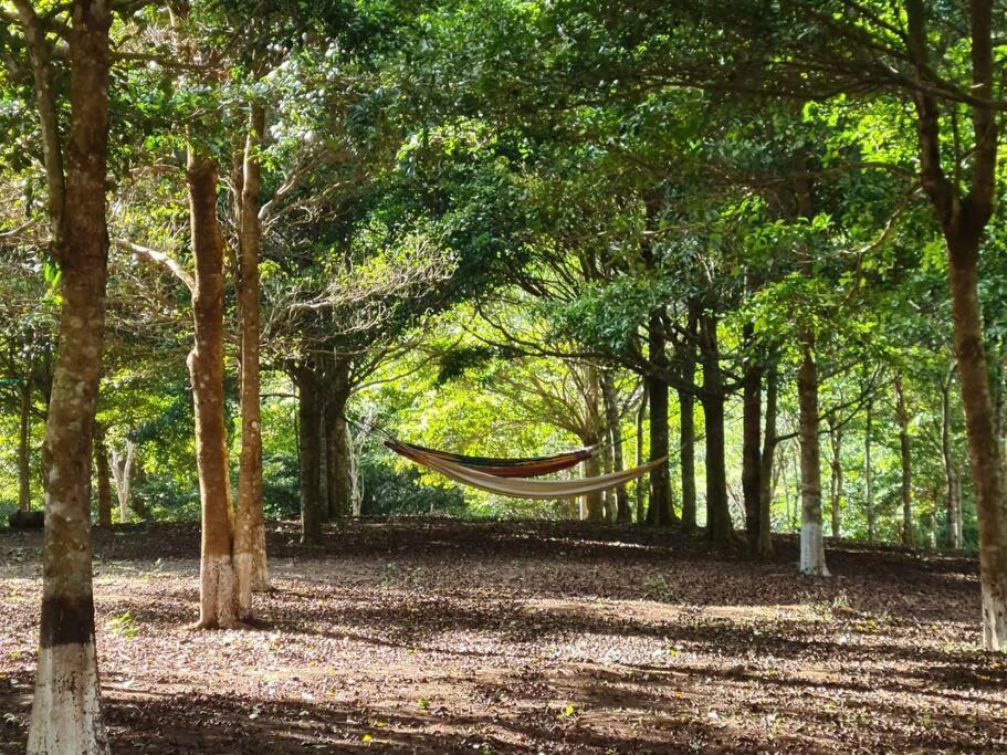 Hospedaje Finca Agroturistica Dona Rufa Rio Sereno Dış mekan fotoğraf