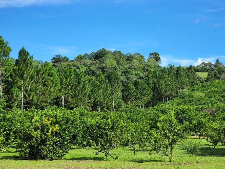 Hospedaje Finca Agroturistica Dona Rufa Rio Sereno Dış mekan fotoğraf