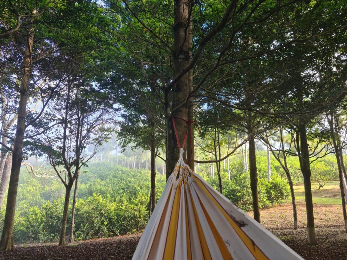 Hospedaje Finca Agroturistica Dona Rufa Rio Sereno Dış mekan fotoğraf