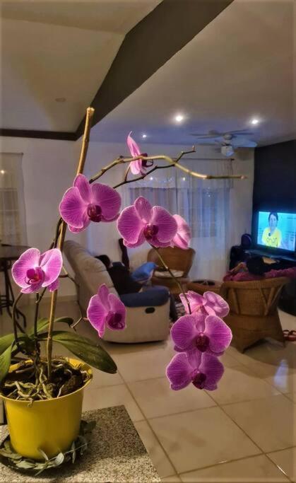 Hospedaje Finca Agroturistica Dona Rufa Rio Sereno Dış mekan fotoğraf