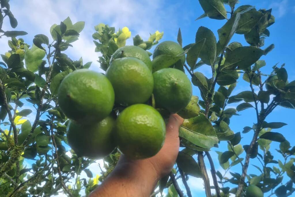 Hospedaje Finca Agroturistica Dona Rufa Rio Sereno Dış mekan fotoğraf