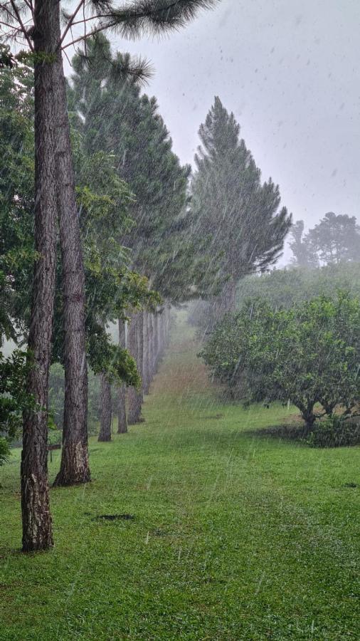 Hospedaje Finca Agroturistica Dona Rufa Rio Sereno Dış mekan fotoğraf